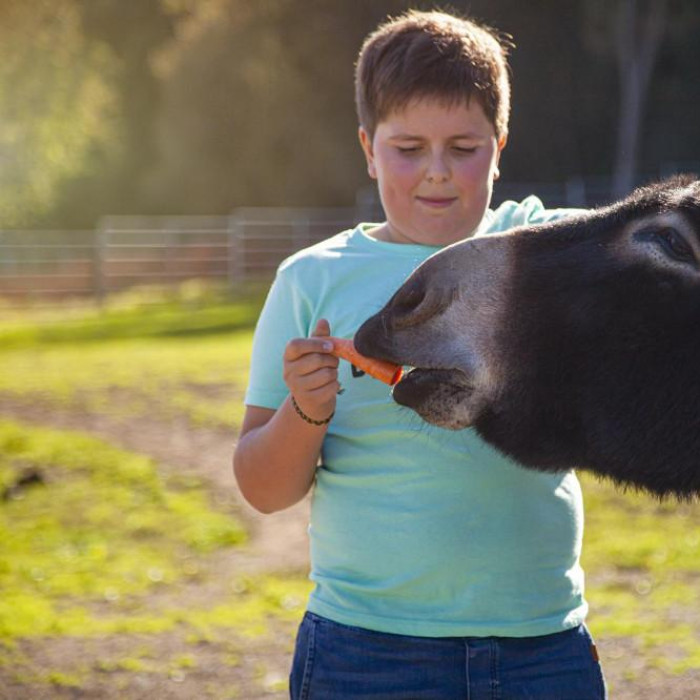 zvieracia farma villa betula (7).jpg